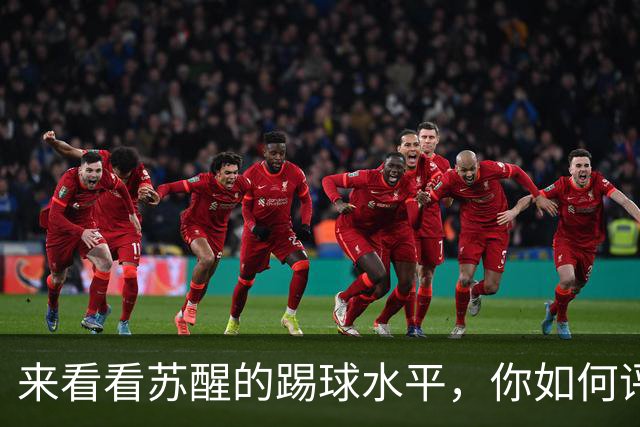 来看看苏醒的踢球水平，你如何评价？